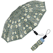 An open and closed umbrella with a green and blue floral pattern on a white background