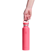 Pink water bottle held by a hand on a white background