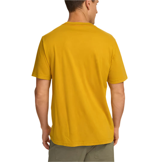 Men's Cotton Daydream Believer Tee | Gold