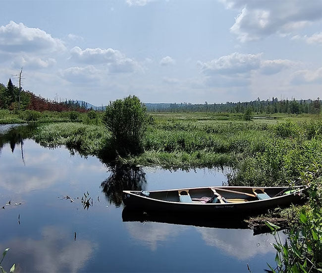 A black canoe sitting empty in a marsh with a scenic vista in the background.