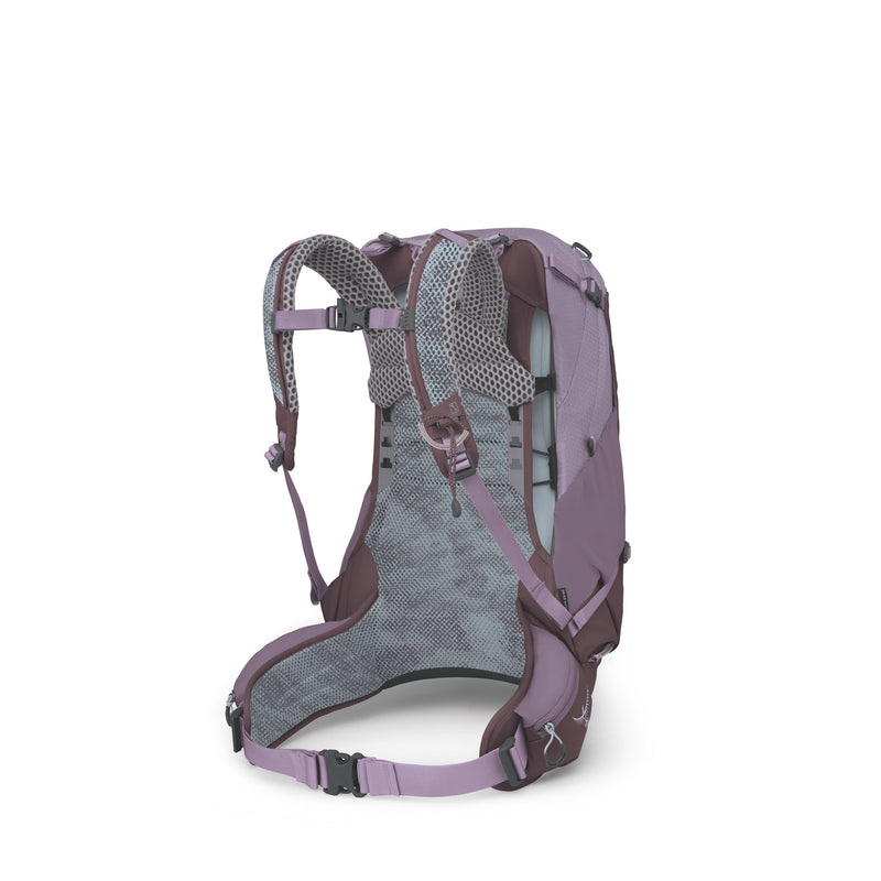 Purple hiking backpack with gray interior on a white background