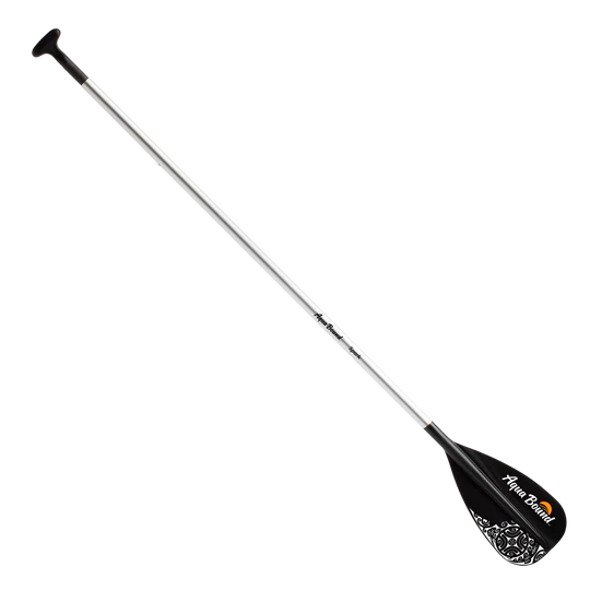 Black paddle with a silver shaft on a white background.