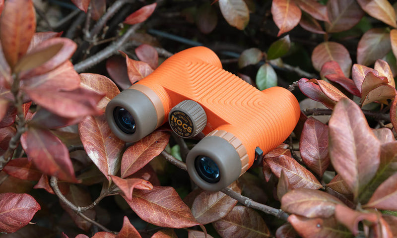 Standard Issue 8X Binoculars | Poppy