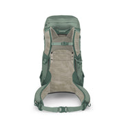 A green and beige hiking backpack shown from the back, featuring a breathable mesh back panel and padded shoulder straps, set against a plain white background.