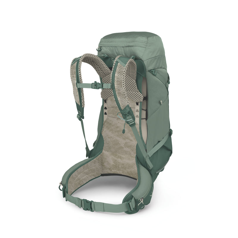 A green technical hiking backpack shown from the back, featuring a breathable mesh back panel, padded shoulder straps, and adjustable buckles, set against a plain white background.