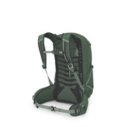 Green backpack on a white background