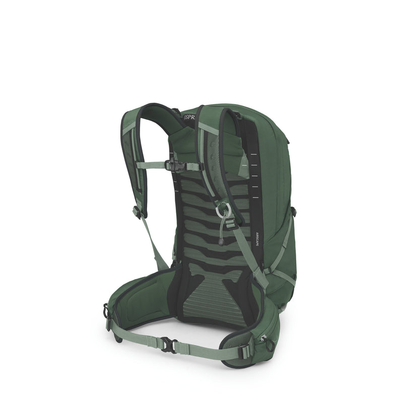 Green backpack on a white background