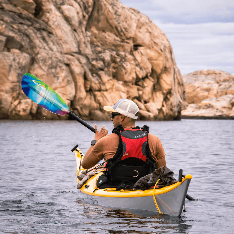 Tango Fiberglass 2-Piece Straight Shaft Kayak Paddle | Northern Lights