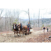 A pair of brown draft horses pull a small trailer along a dirt road in a wooded outdoor setting, with a person standing beside them and two more people visible in the background.