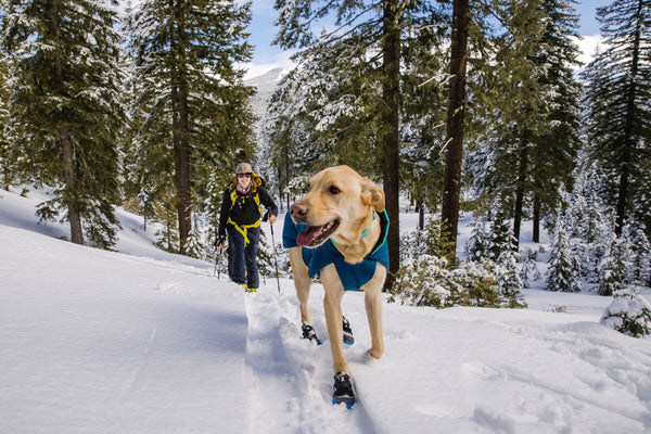 Ruffwear Polar Trex Dog Boots