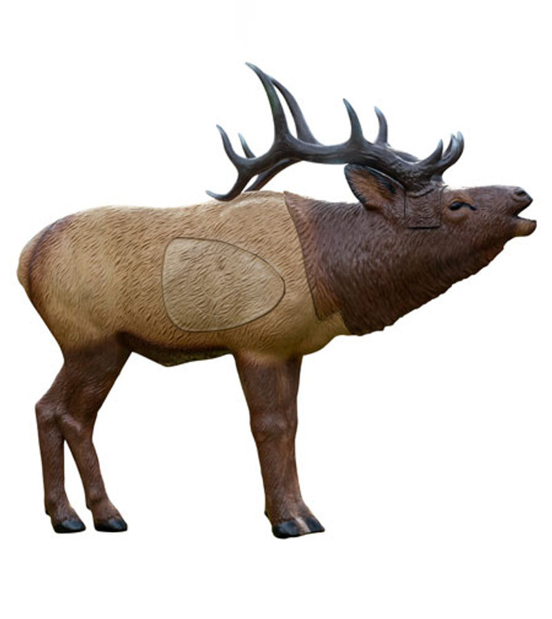 Woodland Elk 1/3 Scale Archery Target