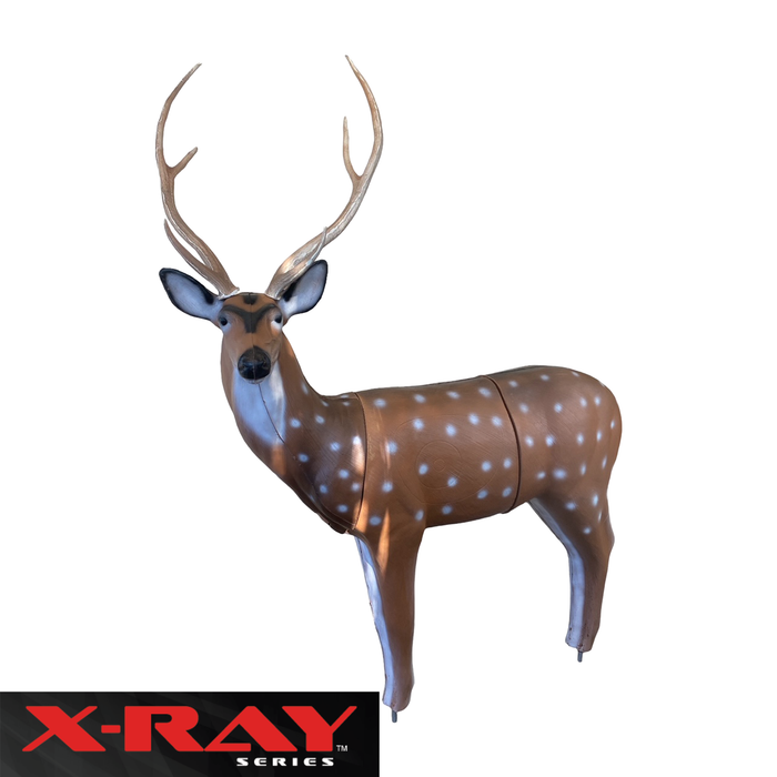 BIGshot Archery X-Ray Series Axis Deer