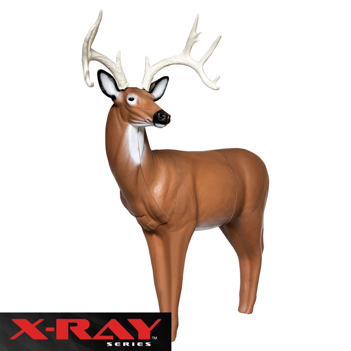 BIGshot Archery X-Ray Series Big Buck