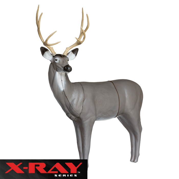 BIGshot Archery X-Ray Series Mule Deer