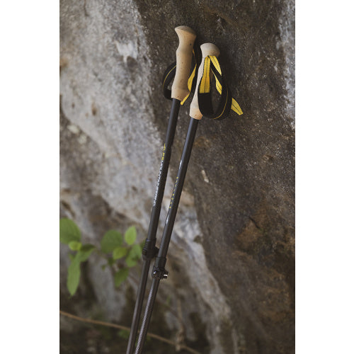 Alliance Trekking Poles | Black