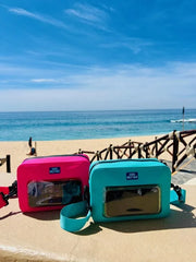 Pink and blue waterproof belt bags next to each other on a stone wall at a beach. 