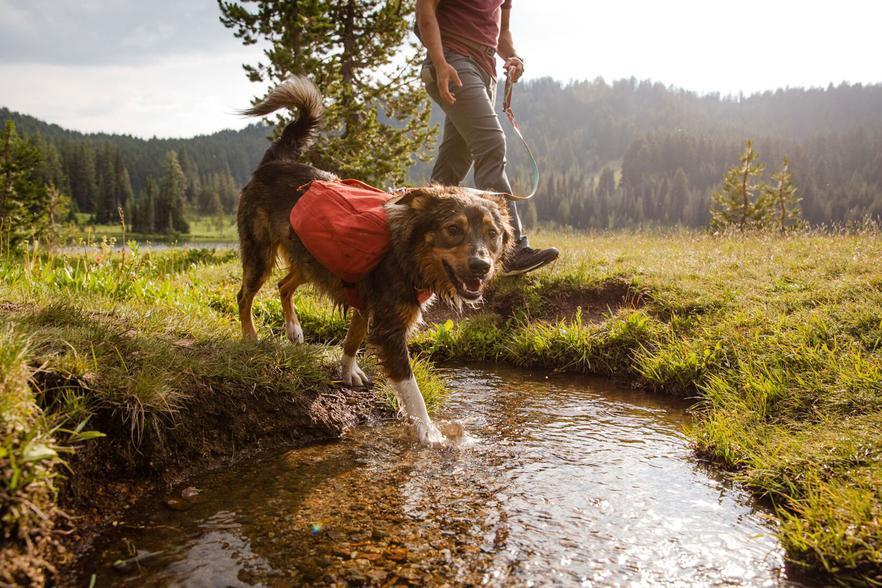 Ruffwear Front Range Day Pack