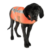 A black dog wearing an orange vest with reflective tape on a white background