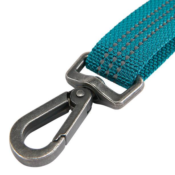 The hook on the end of a blue leash on a white background