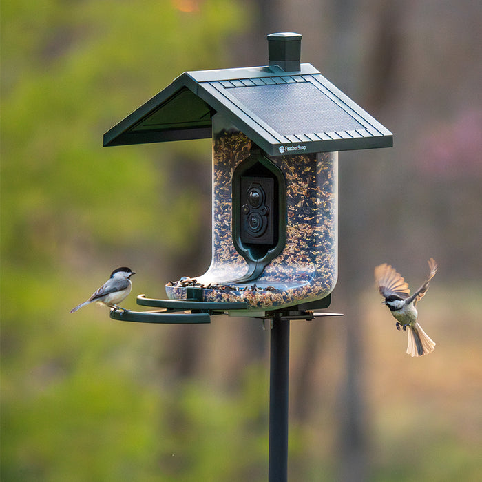 FeatherSnap Scout Bird Feeder and Camera by Tactacam