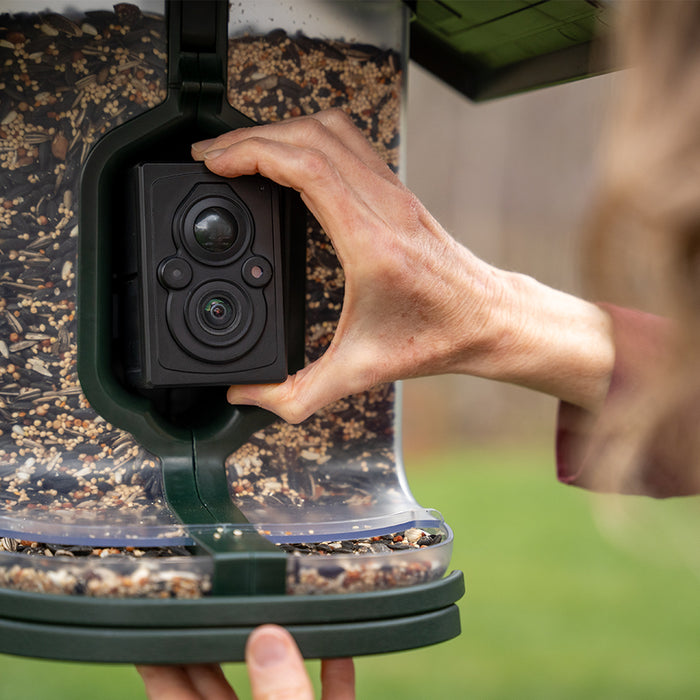 FeatherSnap Scout Bird Feeder and Camera by Tactacam