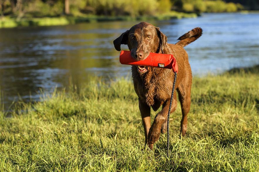 Ruffwear LUNKER FLOATING THROW TOY