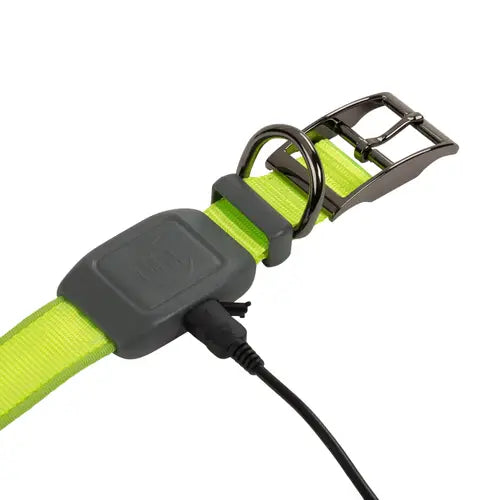 NiteDog Rechargeable LED Collar | Lime Green