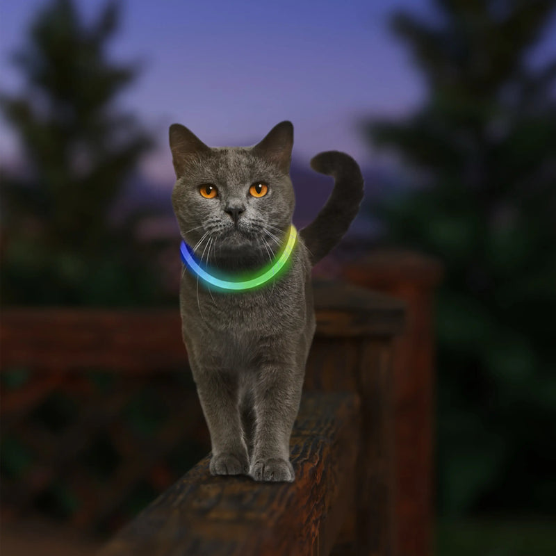 NiteMeow Rechargeable LED Cat Safety Necklace | Disco