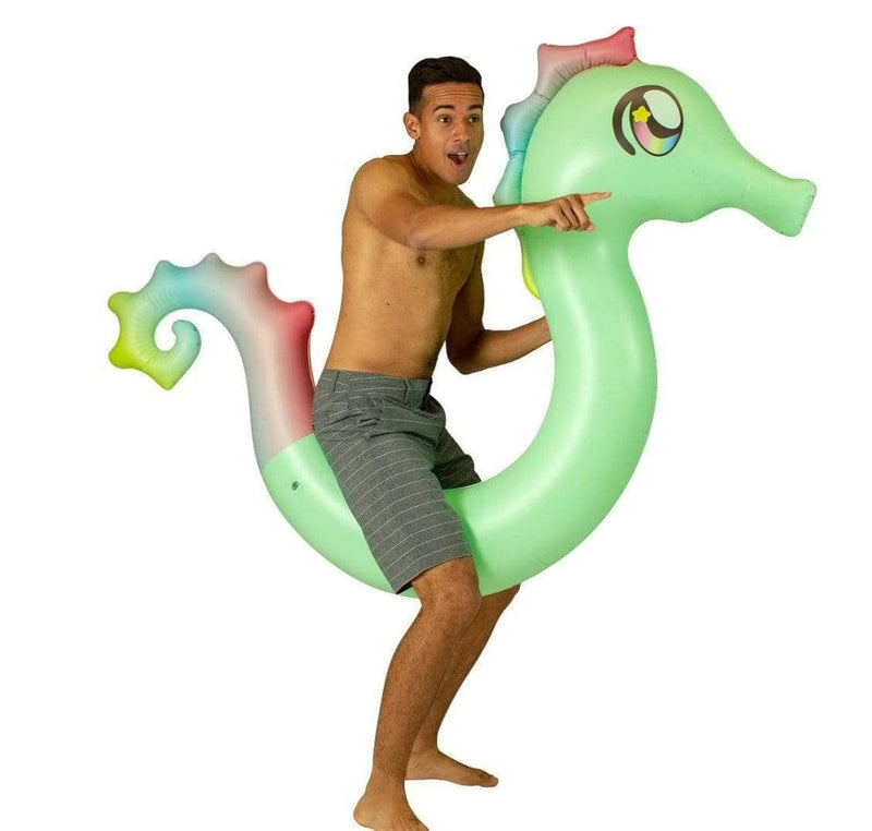 Seahorse Inflatable Ride-On Pool Noodle