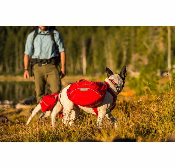 Ruffwear Palisades Dog Pack