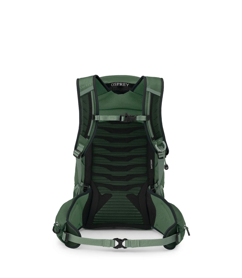 Talon™ 22 Hiking Day Pack | Green Canopy/Pine Leaf