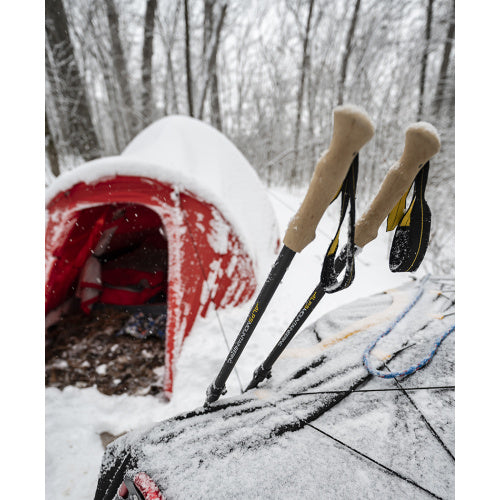 Alliance Trekking Poles | Black