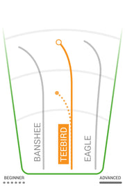 infographic showcasing the different capabilities of various discs.