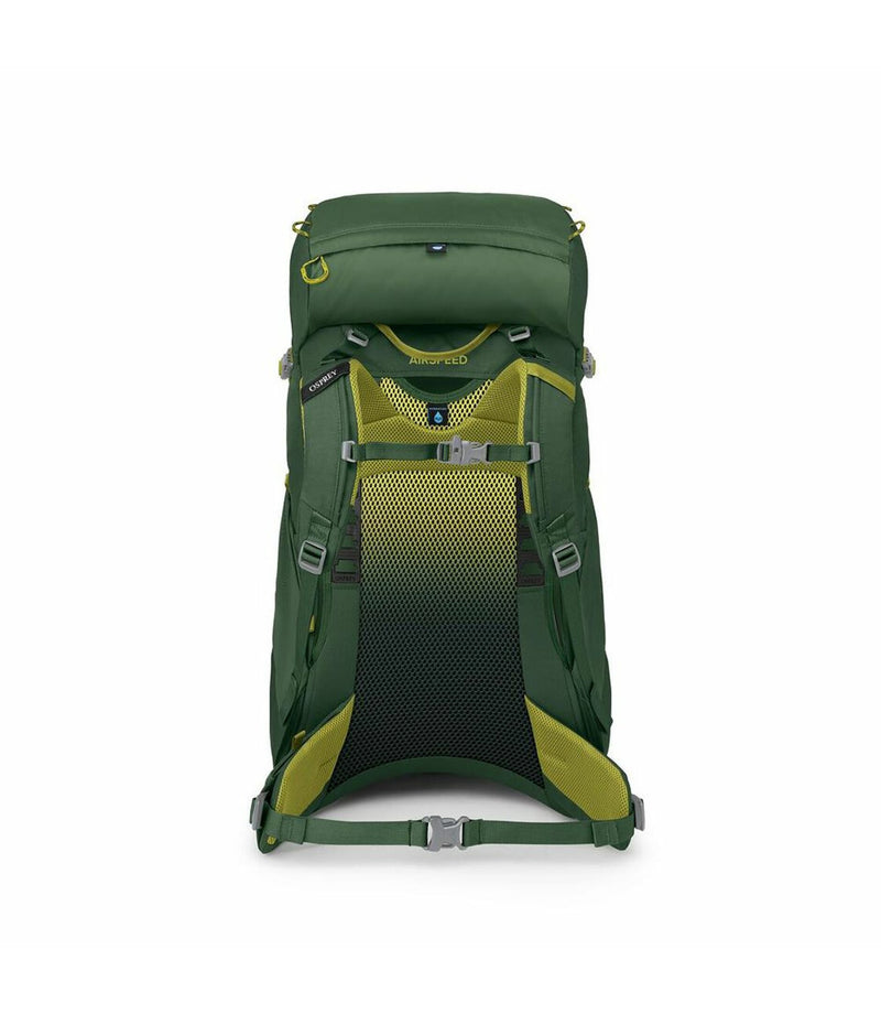 Ace 38 Youth Backpack | Green Canopy/Matcha Green